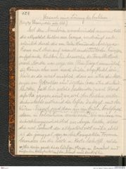 Seite 132, Tagebuch "Palästina (Tagebuch)" (NHMW-PRAE-BBB-80)